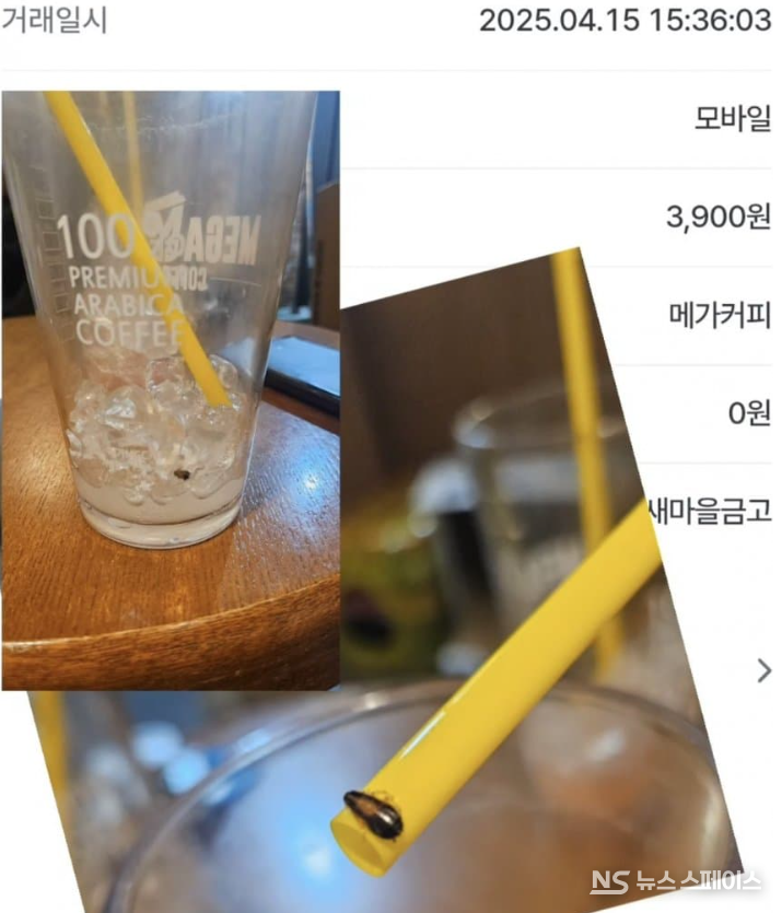 인터넷 커뮤니티 디시인사이드의 실시간 베스트 갤러리에는 ‘으악으악 커피에 바퀴벌레 나온 메가커피’라는 제목의 게시글이 올라왔다. / 인터넷커뮤니티