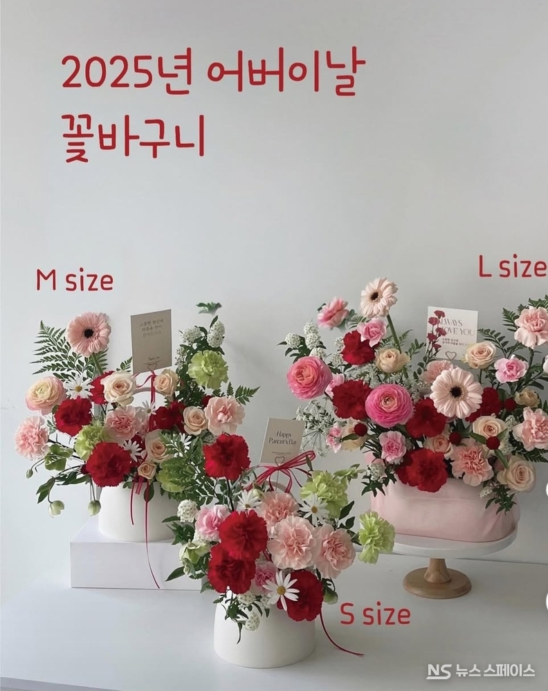 다양한 선물용 카네이션 꽃다발 / 뉴스스페이스DB