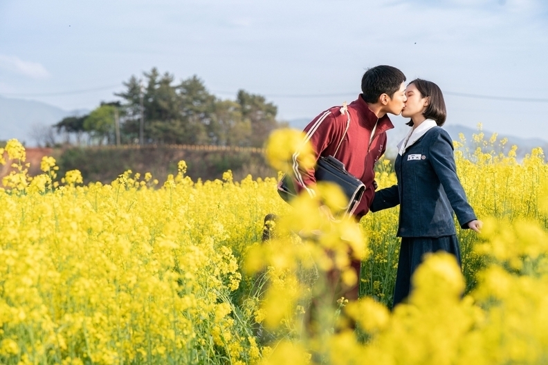 넷플릭스 드라마 ‘폭싹 속았수다’의 한 장면으로 주인공인 애순(아이유)과 관식(박보검)이 제주도 유채꽃밭을 배경으로 첫 키스 하는 장면 / 넷플릭스