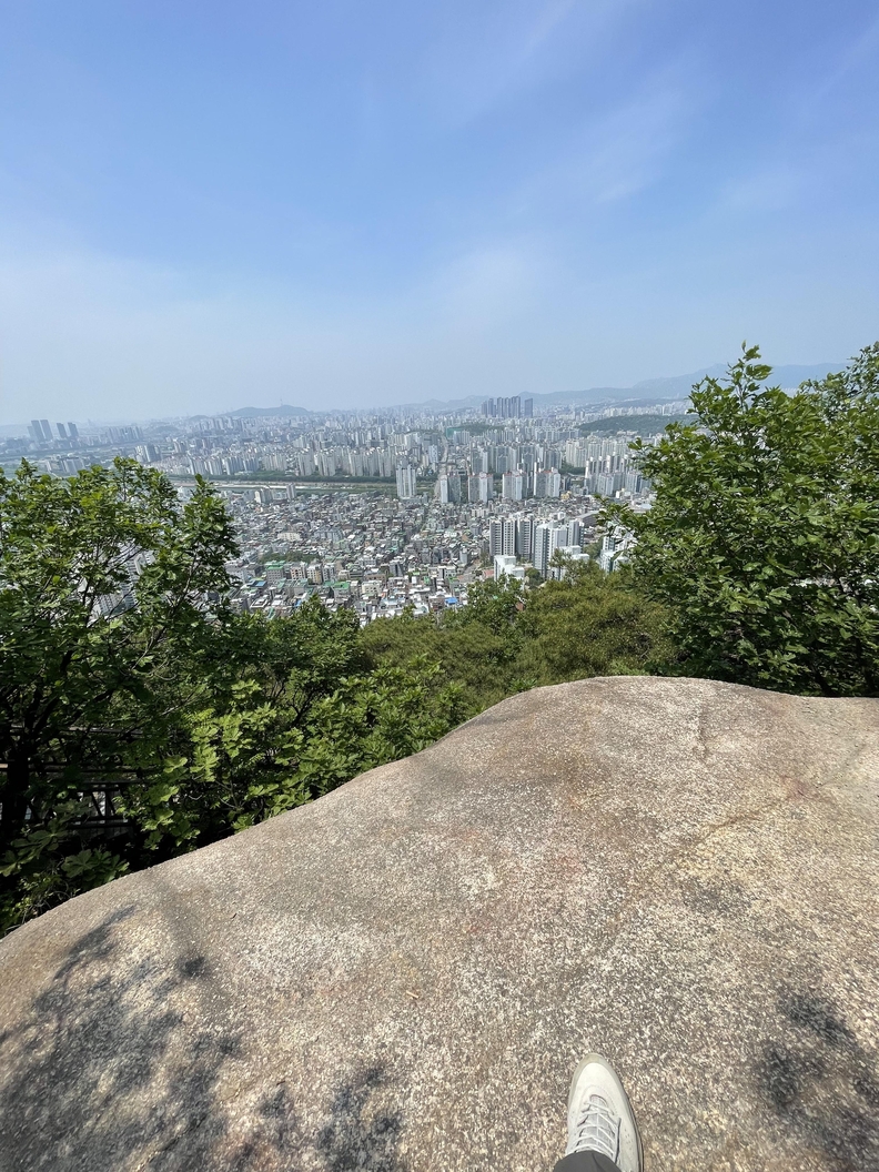 하늘도 좋지만 땅을 보며 위로받는 하루하루 보내시길 바랍니다.
