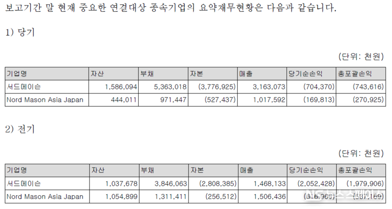 노드메이슨의 종속기업 재무현황 / 감사보고서