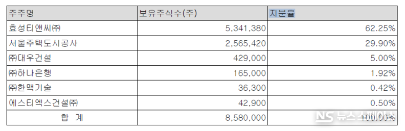 세빛섬의 주주 현황 / 감사보고서