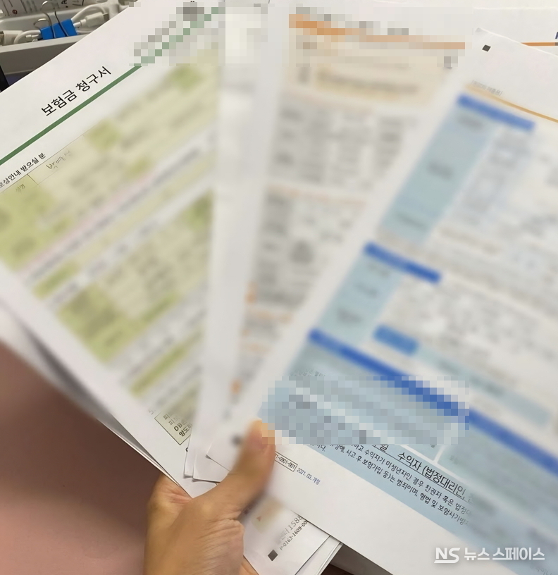 강남 고액 자산가들은 종신보험을 상속 전략의 핵심 수단으로 삼는다. "강남 고액 자산가 중 종신보험에 안든 사람이 없다"는 말까지 있을 정도다. / 뉴스스페이스DB