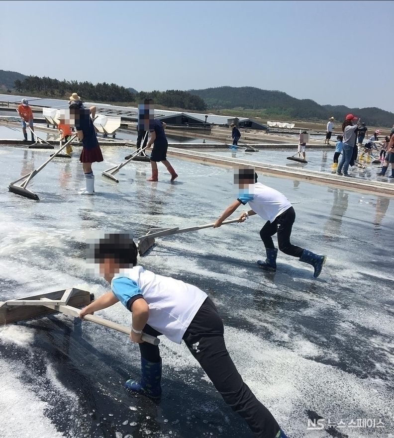 전남 신안군 증도는 염전으로 유명하다. 기후가 염전 운영에 적합해 전국 천일염 생산량의 약 80%를 차지할 정도다. 염전을 한눈에 내려다볼 수 있는 소금밭전망대, 소금박물관 등이 유명하다. / 뉴스스페이스DB