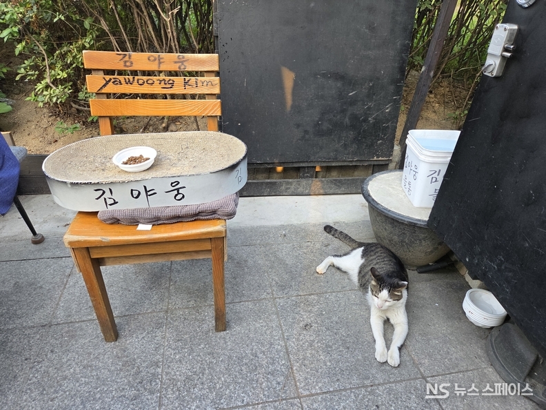 서울시 동작구 사당동 000번지 '김야웅'씨 / 뉴스스페이스DB