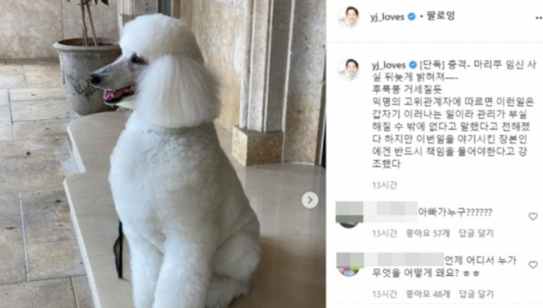 정용진 신세계그룹 회장이 반려견 마리쭈 임신에 대해 기사 형태로 유머러스하게 올린 글 / 인스타그램