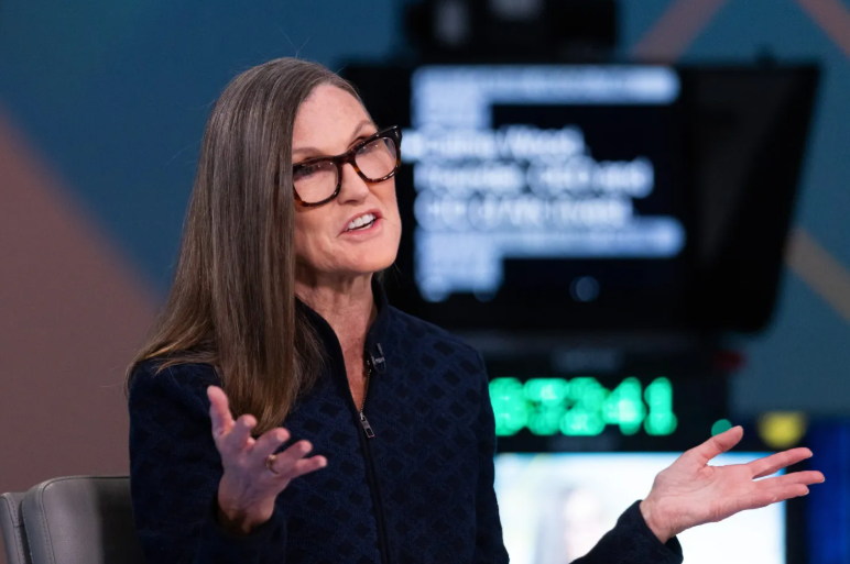 ARK인베스트 캐시 우드(Cathie Wood) CEO / 블룸버그