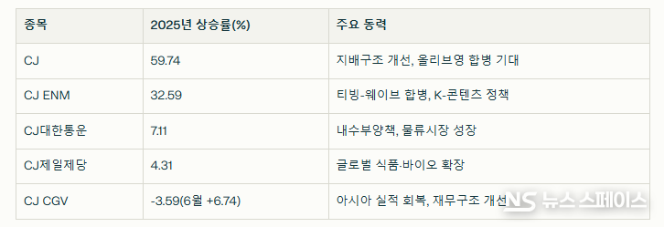 CJ그룹 계열사 주식들의 2025년 상승률과 주요 성장동력 / 뉴스스페이스DB 