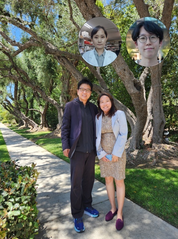 서성배 교수(왼쪽), 김진은 박사. 김신혜 박사(오른쪽 상단 왼쪽), 정원교 연구원(오른쪽 상단 오른쪽) / 카이스트