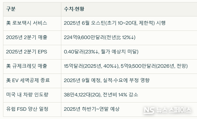 데이터로 본 테슬라 현주소 / 뉴스스페이스DB 