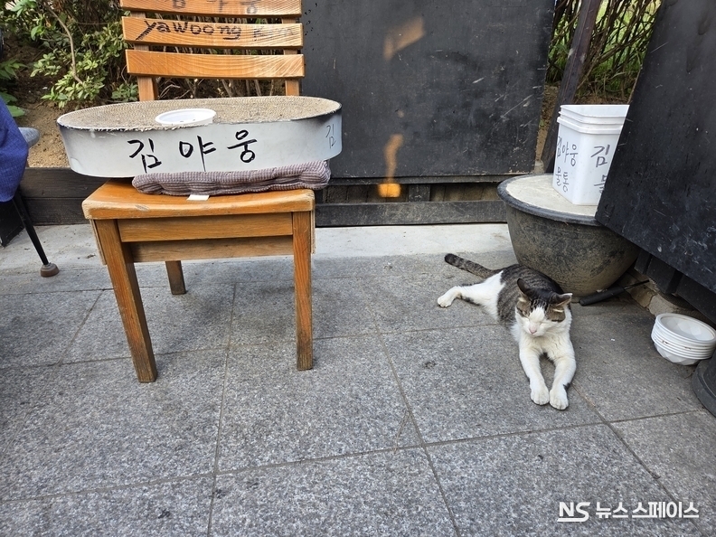 서울시 동작구 사당동 000번지 '김야웅'씨 / 뉴스스페이스DB
