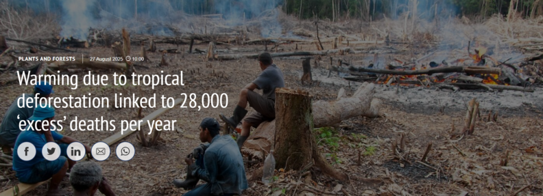 carbonbrief.org