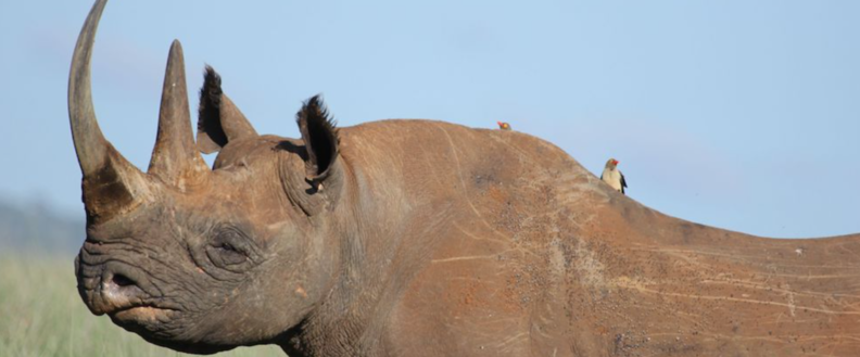 IUCN Red List 공식 사이트 및 관련 논문에 따르면, 4만7000종이 넘는 종들이 멸종 위기에 처해 있으며 이는 평가된 전체 종의 약 28%에 달한다. 특히 기후 변화가 산호와 양서류를 중심으로 생물다양성 감소의 주된 원인으로 부상한 점이 두드러졌다. / mongabay.com