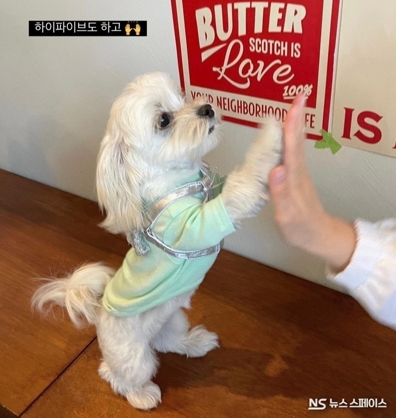 / 뉴스스페이스DB 
