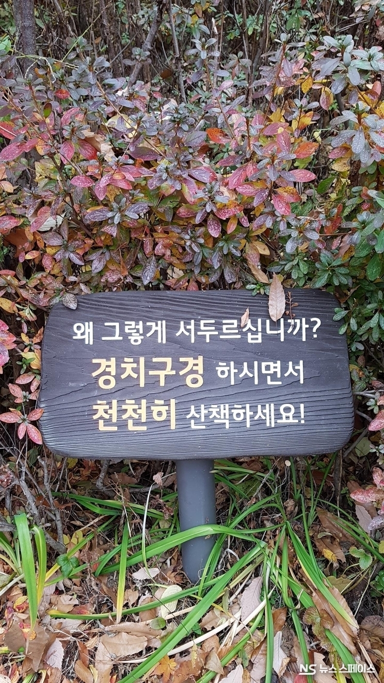 곤지암리조트 화담숲 / 뉴스스페이스DB
