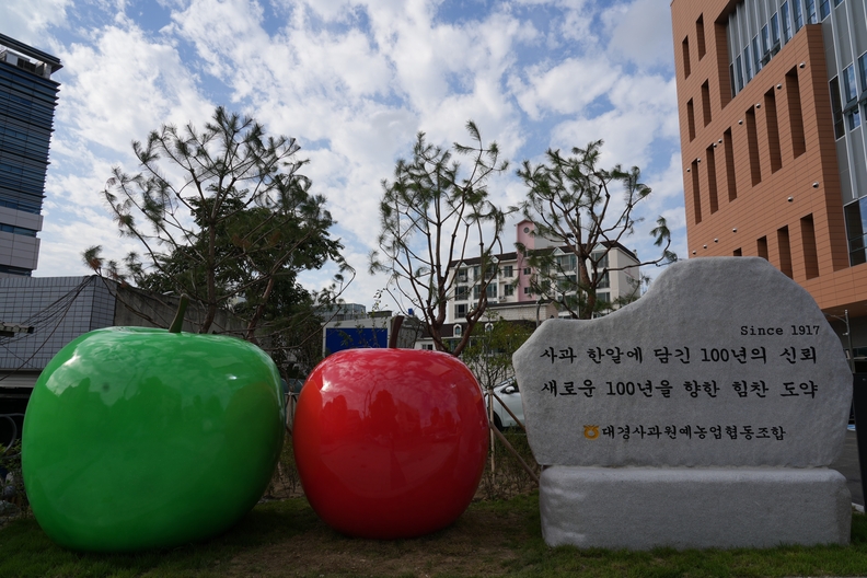 건물 외부에는 사과 조형물과 사과박물관이 들어서, 대한민국 대표 과일인 사과의 상징성과 대경사과원예농협의 108년 역사를 흥미롭게 풀어낸 문화 체험 공간으로 운영된다. / 대경사과원예농협