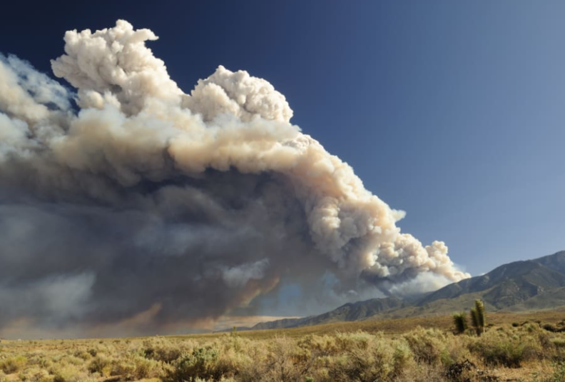 Yale School  of Public Health