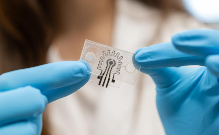 [빅테크칼럼] 땀, 혈액검사 대체 가능성 급부상…건강 진단의 새 지평 열다