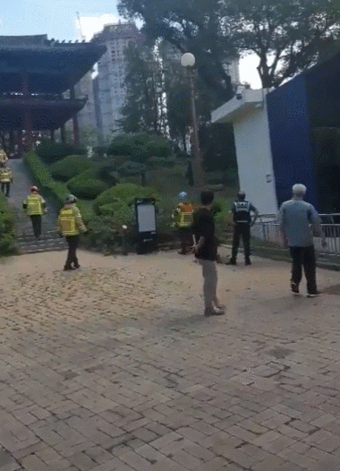 대구 달성공원 동물원에서 침팬지 두 마리가 탈출했으나, 다행히 인명피해없이 포획됐다. [대구경찰청]